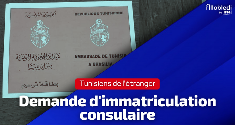 Demande d'immatriculation consulaire