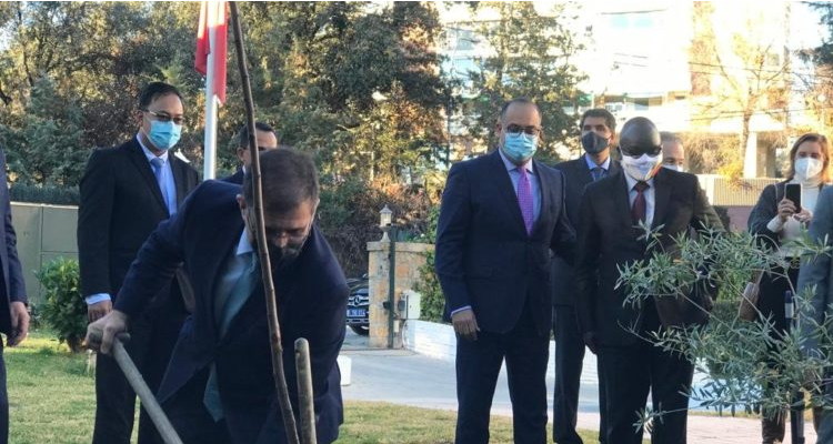 سفارة تونس بمدريد تنظم يوما ترويجيا لزيت الزيتون التونسي