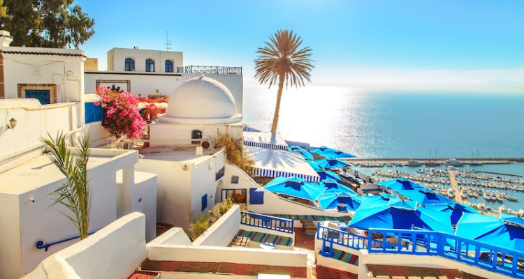ارتفاع عدد السياح الوافدين إلى تونس بنسبة 146 %