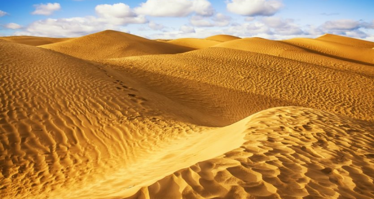صحراء توزر