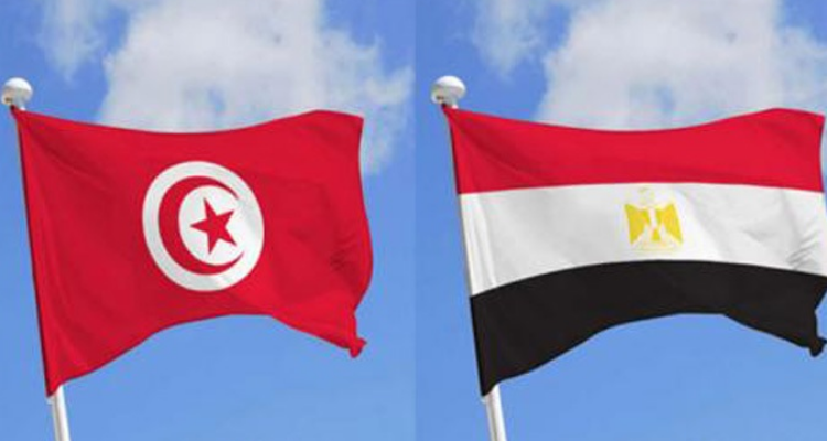 مصر ترحب  بتشكيل الحكومة التونسية و تعرب عن دعمها لتونس