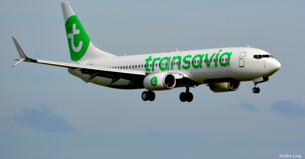 Transavia France assure une nouvelle liaison saisonnière vers Hammamet